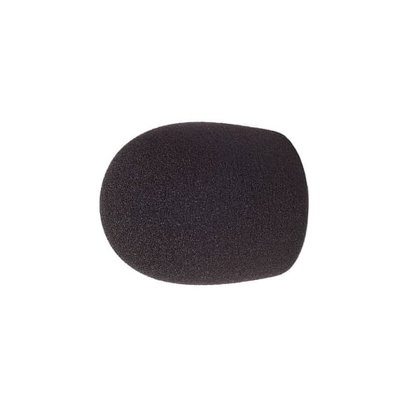 RYCOTE Mic Foam Reporter 40/55