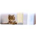 Miniatyrbild 9 av 9: Kattklösare 111 cm PH-005 Pethaus Grå