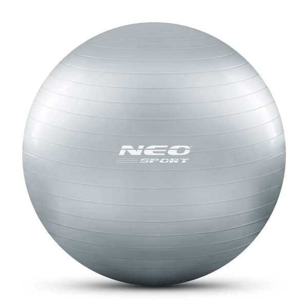 Træningsbold 65 cm NS-951 Sølv