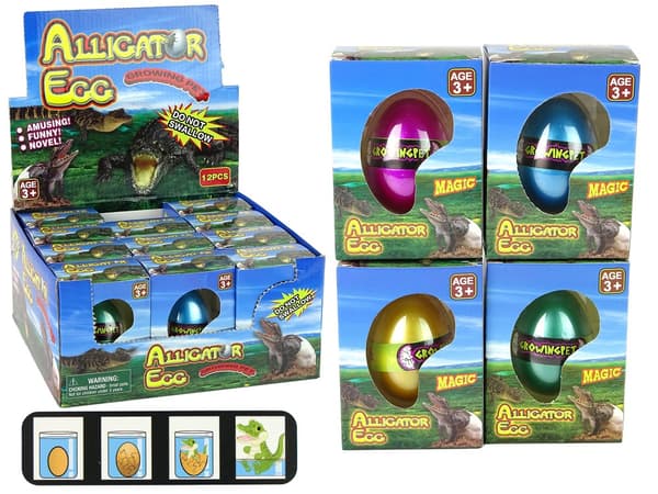 Se Alligator Egg klekkes og vokse på 72 timer!