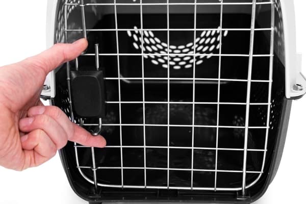 Stor bärsele för katter, hund och husdjur