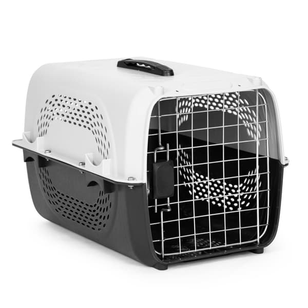 Stor bärsele för katter, hund och husdjur