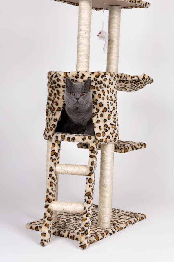 Kattskrapa, hus, träd, säng, 138cm xl, Panther