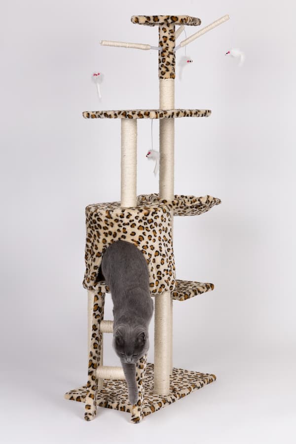 Kattskrapa, hus, träd, säng, 138cm xl, Panther