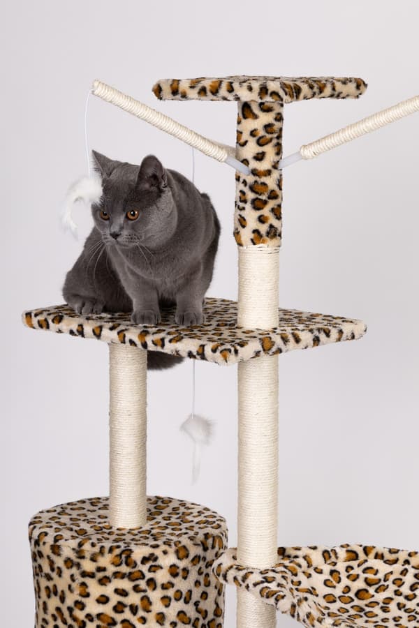 Kattskrapa, hus, träd, säng, 138cm xl, Panther