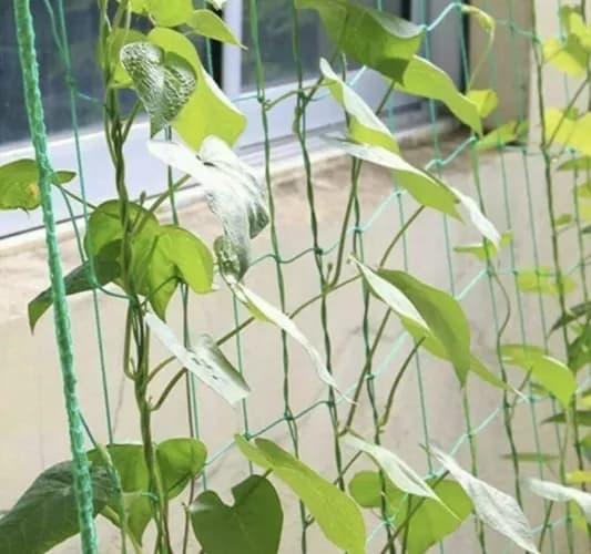 Nett - plantestøtte 2x10m Gardlov 23978