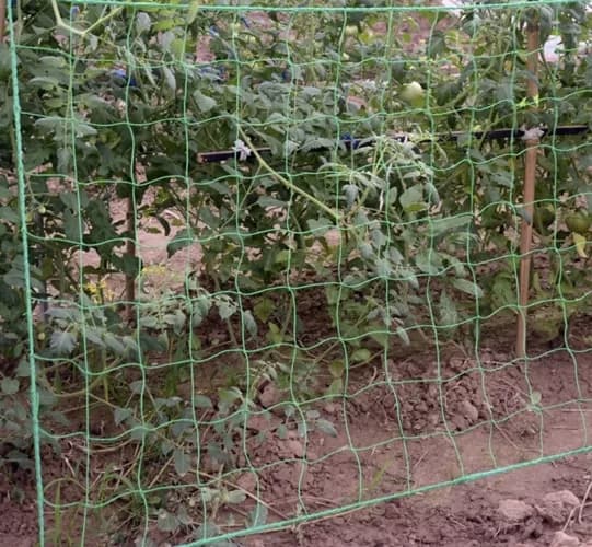 Nett - plantestøtte 2x10m Gardlov 23978