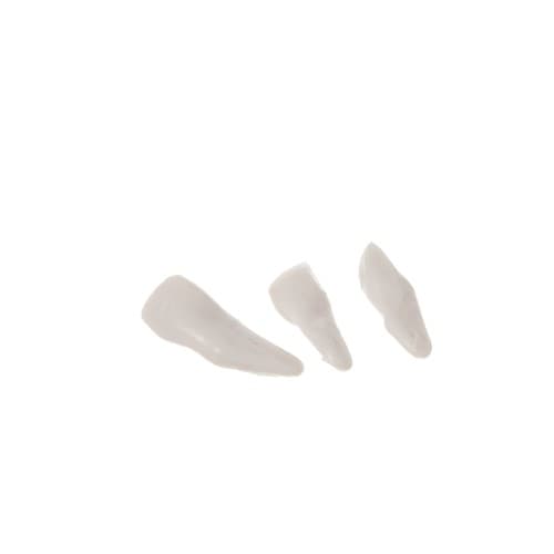 Menneskeligt skelet - 170 cm Malatec 22583