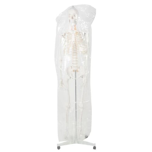 Menneskeligt skelet - 170 cm Malatec 22583