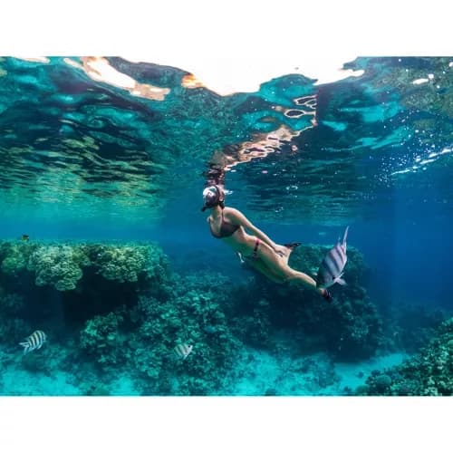 Full ansikts snorkelmaske S/M del 23469