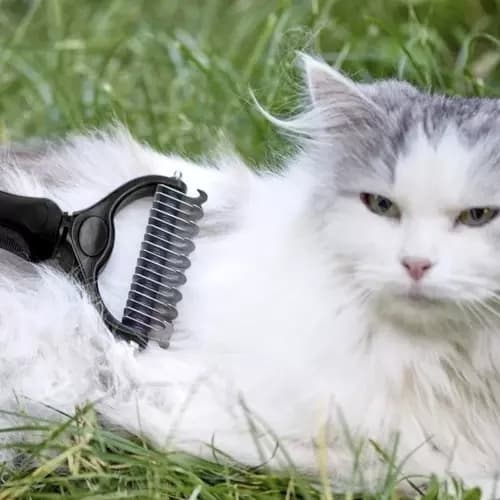 Trimmer/hårkam Purlov 20427
