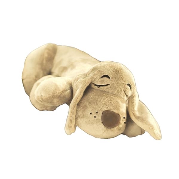Huggie Pup - Pentukaveri