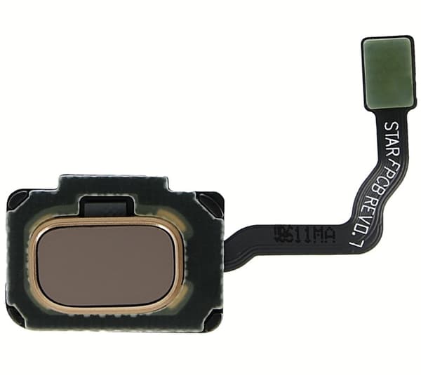 Samsung Galaxy S9 & S9 Plus Fingeravtrykksensor - Original - Gull