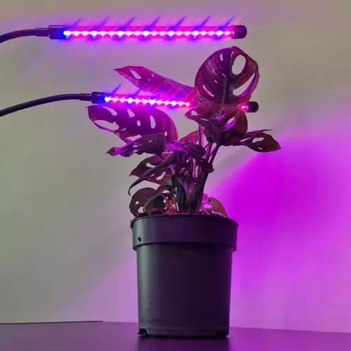 Lampe 20 LED 2stk for plantevekst Gardlov 19241
