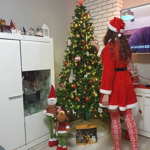 Kostyme - Fru Claus Malatec 22702