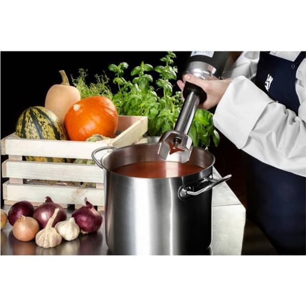 Kraftig mikser, stavmikser, lang. arm 250mm 350W 230V Royal Catering