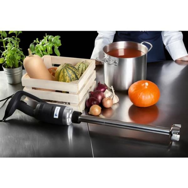 Kraftig mikser, stavmikser, lang. 400 mm 500 W 230 V Royal Catering