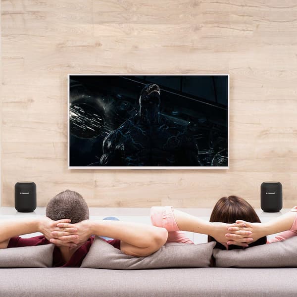 Element T6 Max 60W trådløs Bluetooth-høyttaler, svart