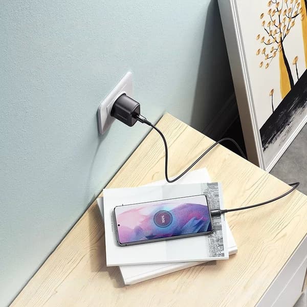 USB-C 25W PD telefonoplader + USB-C kabel 2m sort