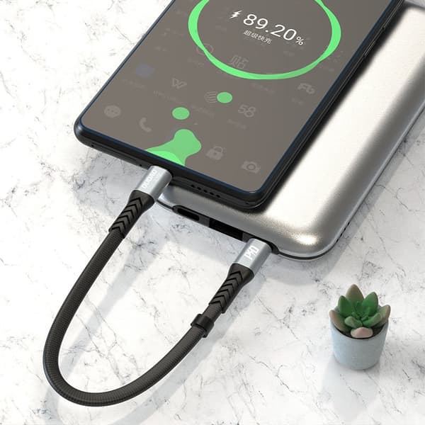 Kabel fladkabel USB-C - USB-C L10C PD 100W 23cm sort