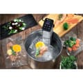 Miniatyrbilde 4 av 5: Nedsenkingssirkulator for sous-vide matlaging 30 l 1500 W