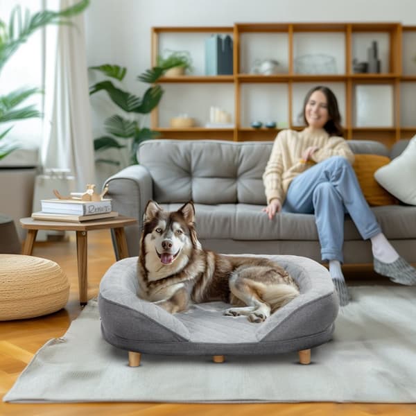 Hundesofa Kjæledyrsofa med ryggstøtte og treben, vaskbart trekk for middels hunder under 25 kg grå