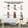 Miniatyrbilde 5 av 10: Hundesofa Kjæledyrsofa med ryggstøtte og treben, vaskbart trekk for middels hunder under 25 kg grå