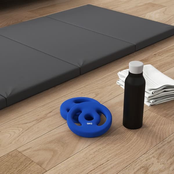 Set med 2 hantelvikter, 2 x 5 kg vikter, viktskivor set, viktskivor för 2,5 cm hantelstång, Ø 30 mm hål, blå