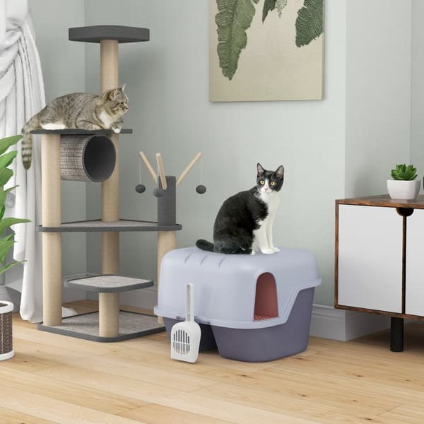 Katttoalett med lock, kattsandlåda med sil, skopa, stängt katttoaletthus för små katter under 3,5 kg, inomhus, plast, lila