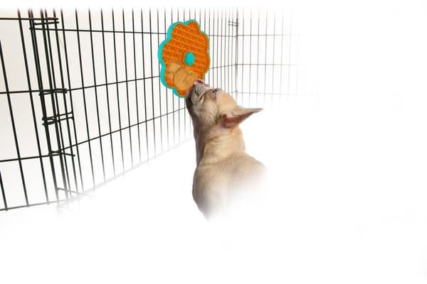 AFP Calming Pals- Slikk en disk