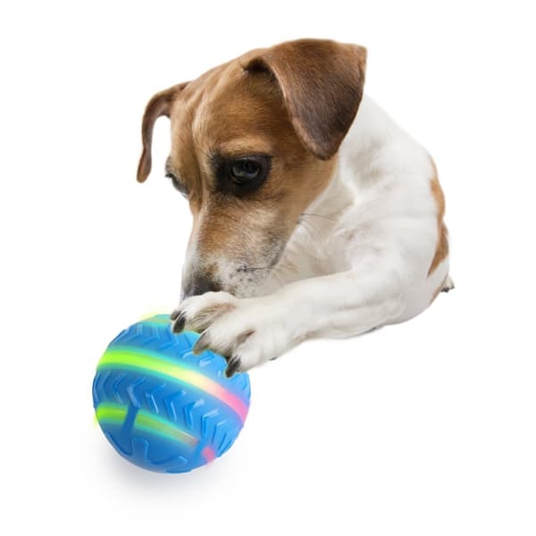 AFP Interactives-Motion-aktivert actionball