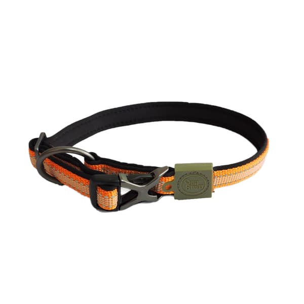 AFP Off Street Hundehalsbånd Tangerine S