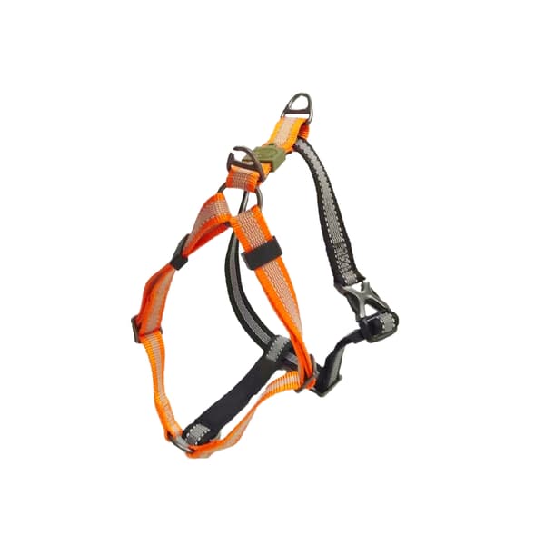 AFP Off Street Dog Non-pull -valjaat Tangerine M