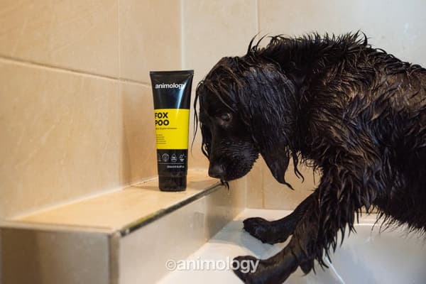 Animologi Fox Poo Shampoo