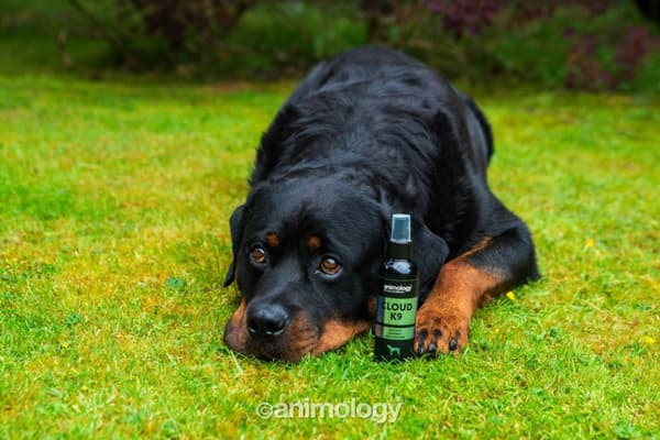 Animology Cloud K9 Duft Mist