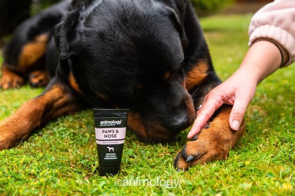 Animologi Paws &amp; Nesebalsam 50ml