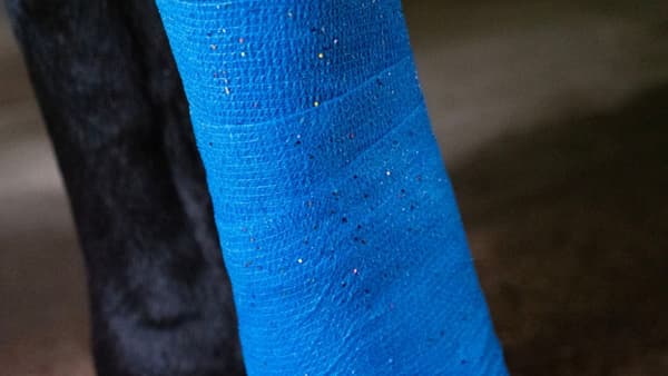 Bandasje Animal Blue Glitter Profi Plus 10 cm