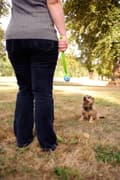 Miniatyrbillede 3 af 6: Chuckit The Whistler S 5 cm 2 Pakke