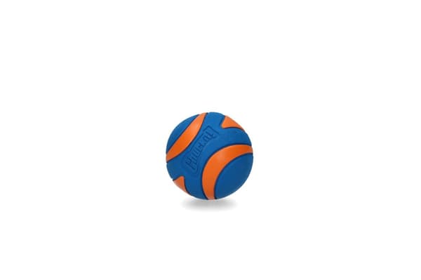 Chuckit Ultra Squeaker Ball XL 1 kpl.