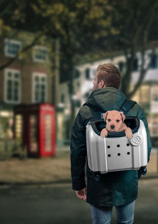 Compaws Trolley London 40 cm Grå
