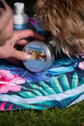 Miniatyrbillede 2 af 3: CoolPets solcreme lotion