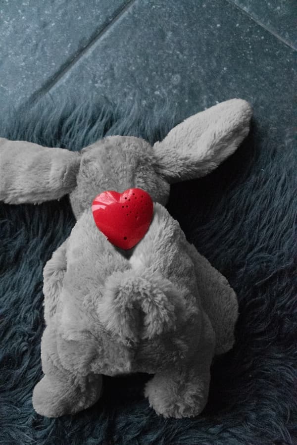 Koselig Dog Bunny Grey