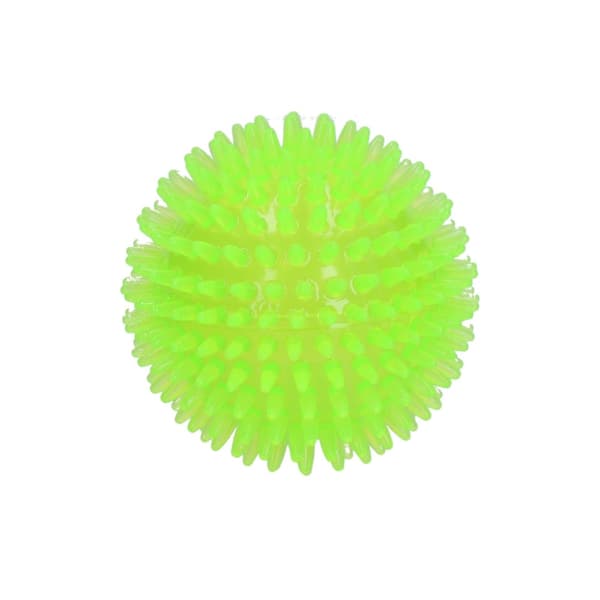 Hundekometer Exoplanet Green S