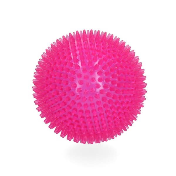 Koiran komeetat Exoplanet Pink S