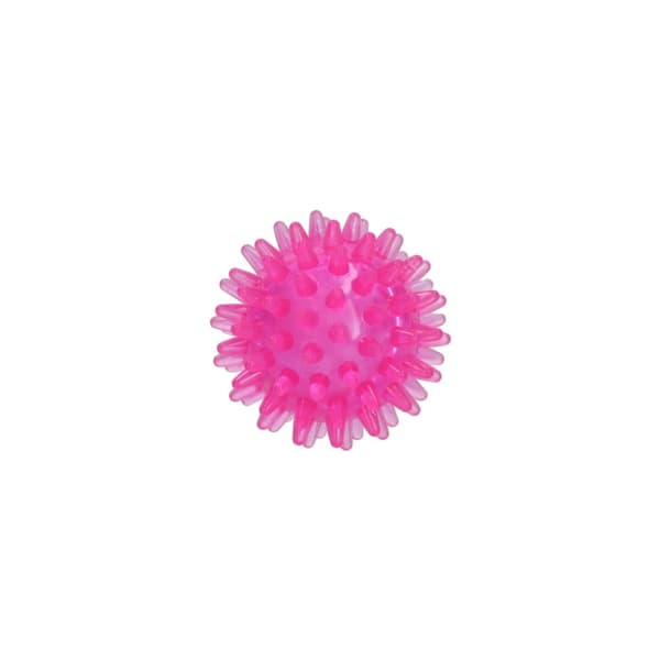 Koiran komeetat Exoplanet Pink S