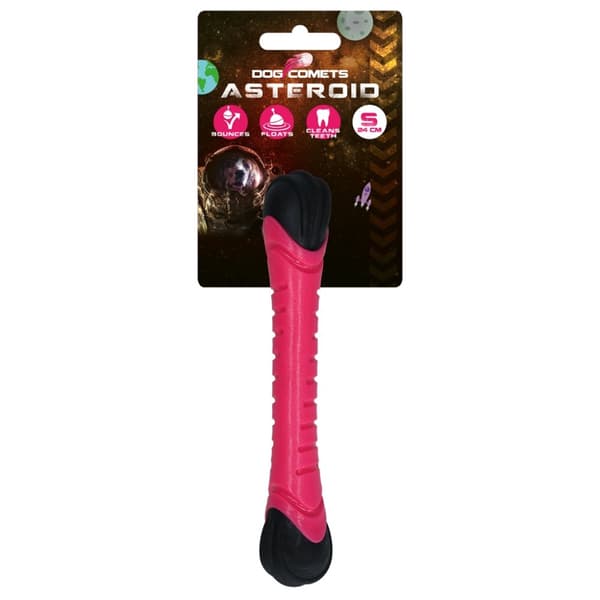 Koiran komeetat Asteroid Pink S