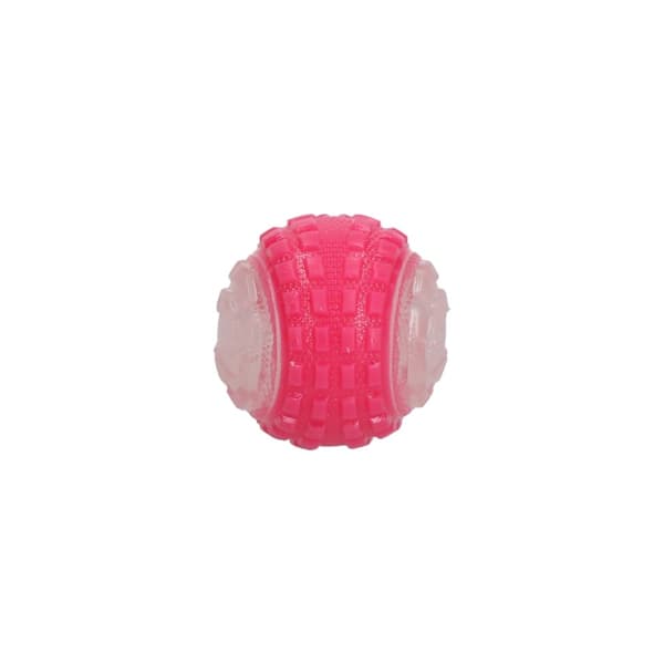 Koiran komeetat hehkuvat pimeässä kuussa Pink S