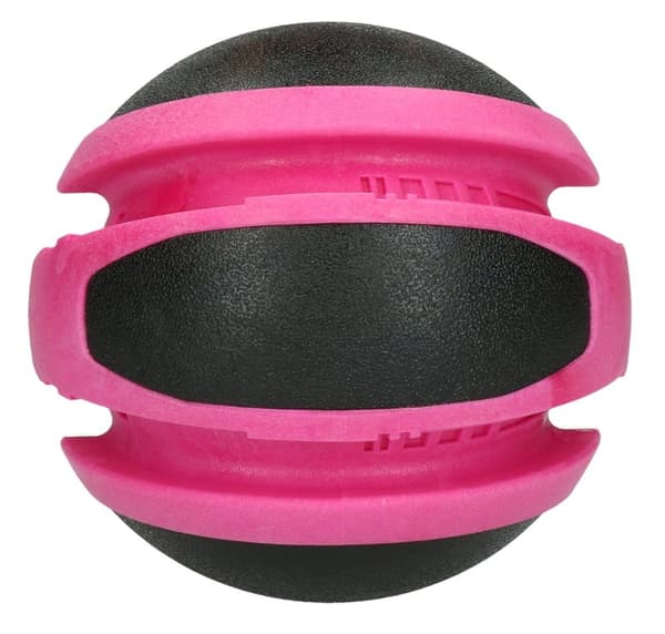 Hundekometer Planet Jupiter Roze