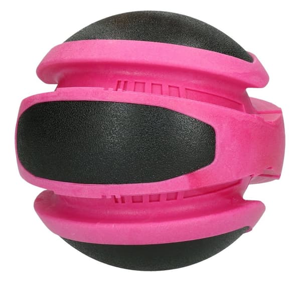 Hundekometer Planet Jupiter Roze
