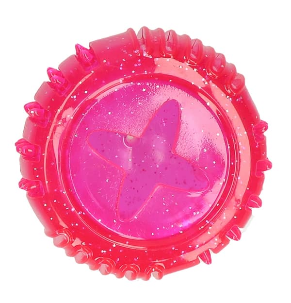 Koirakomeetat Vesta ja herkkulokero Roze